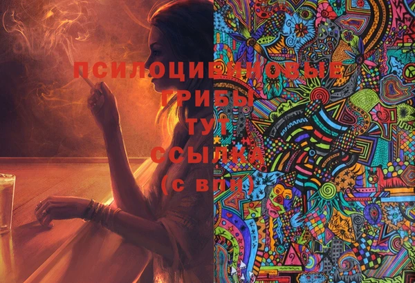 герыч Верхний Тагил